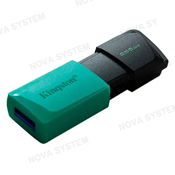 KINGSTON KINGSTON DTXM/256GB EXODIA M Memoria USB 3.2 256GB