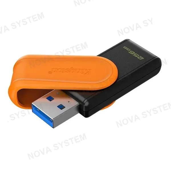 KINGSTON KINGSTON DTXS/256GB EXODIA S Memoria USB 256GB