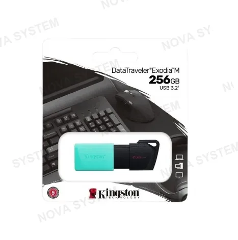 MEMORIA USB, KINGSTON, 256GB