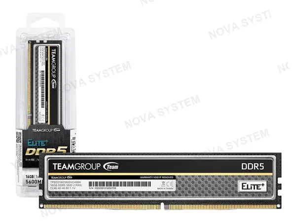 MEMORIA RAM TEAMGROUP 16GB DDR5 ELITE PLUS 5600MT/S (TPBD516G5600HC4601) 5600 MT/S